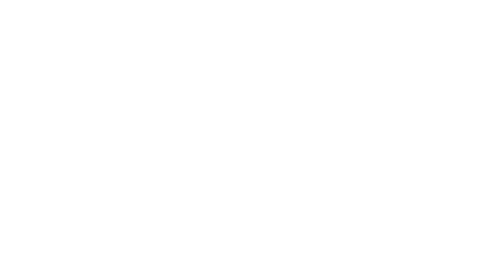 计步专家